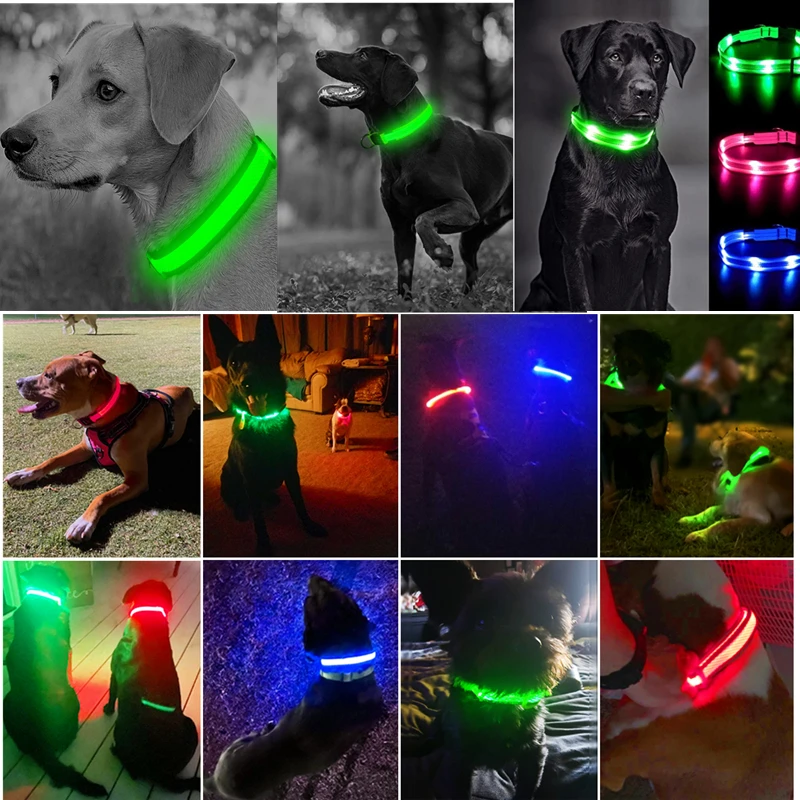 GlowPup Rechargeable LED Dog Collar – Glow-in-the-Dark Safety & Night Visibility - Image 14