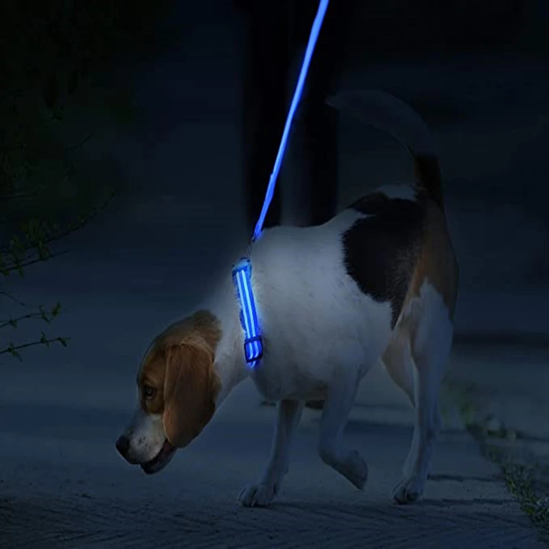 GlowPup Rechargeable LED Dog Collar – Glow-in-the-Dark Safety & Night Visibility - Image 2